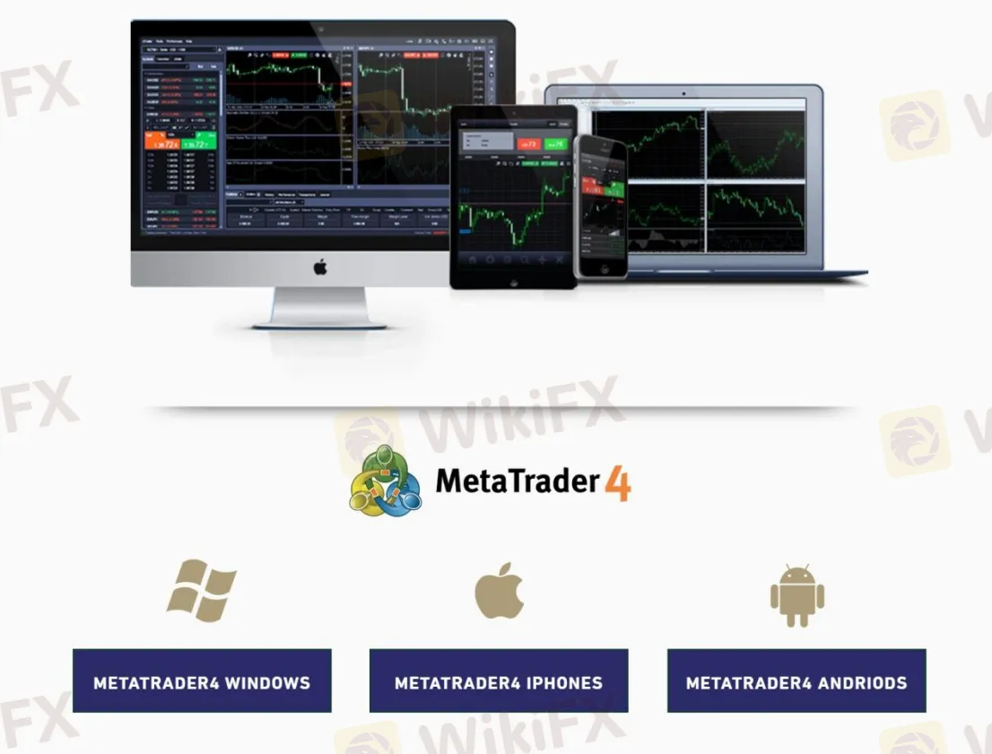 Trading Platform Available