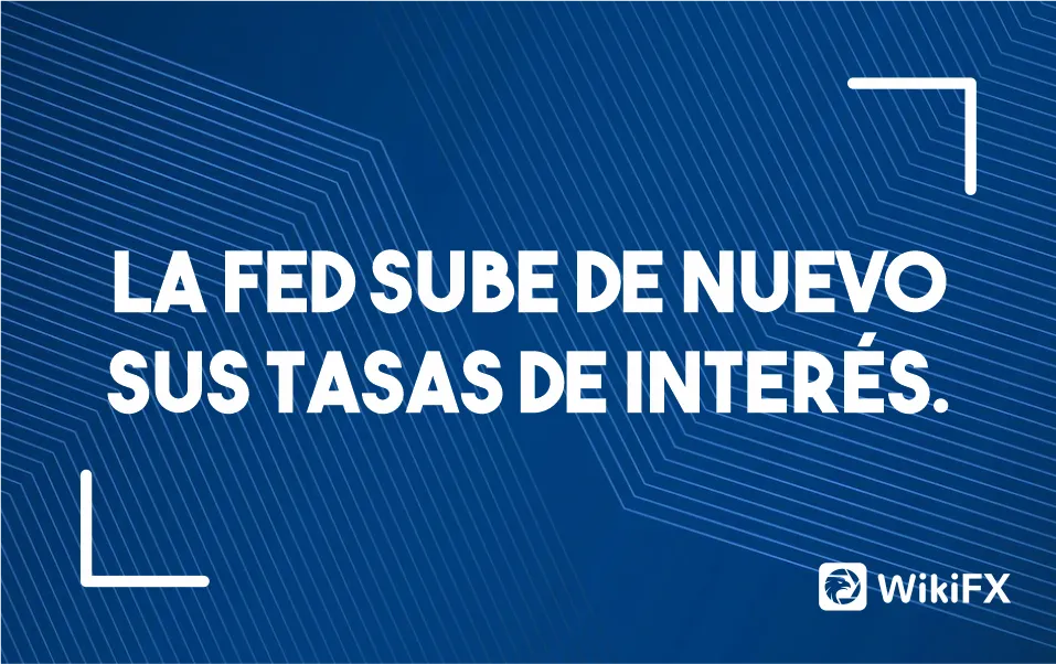 </b> FED