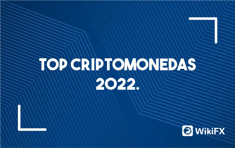 Criptomonedas Criptomonedas