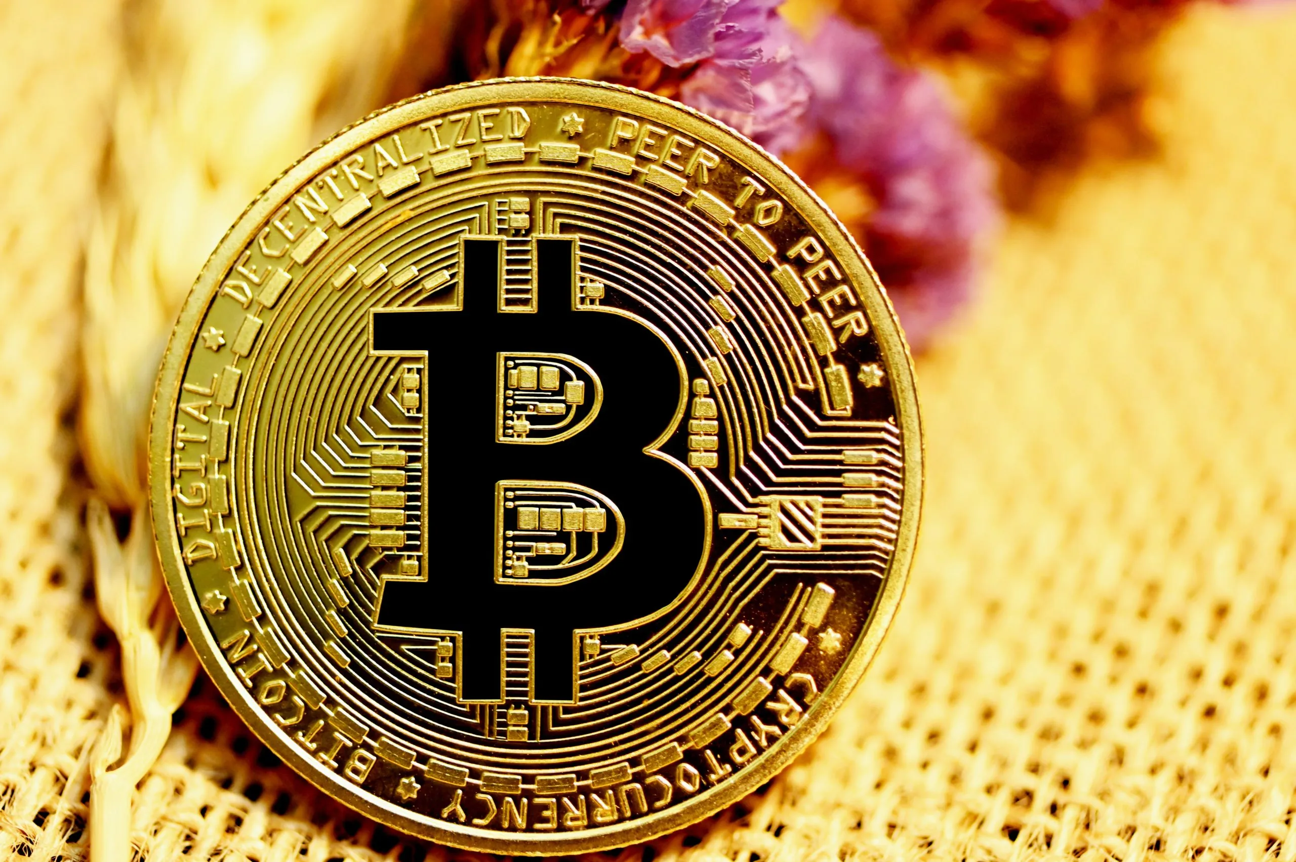 Bitcoin Bitcoin