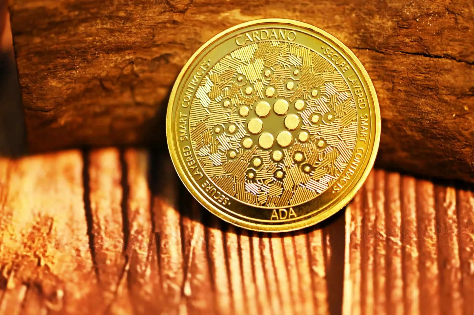 Cardano Cardano