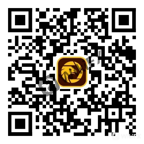 图片9.png