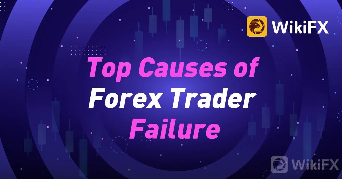 img_v2_a4edda00-c40b-4860-9d4e-35b6d463d8fg.jpg img_v2_a4edda00-c40b-4860-9d4e-35b6d463d8fg.jpg