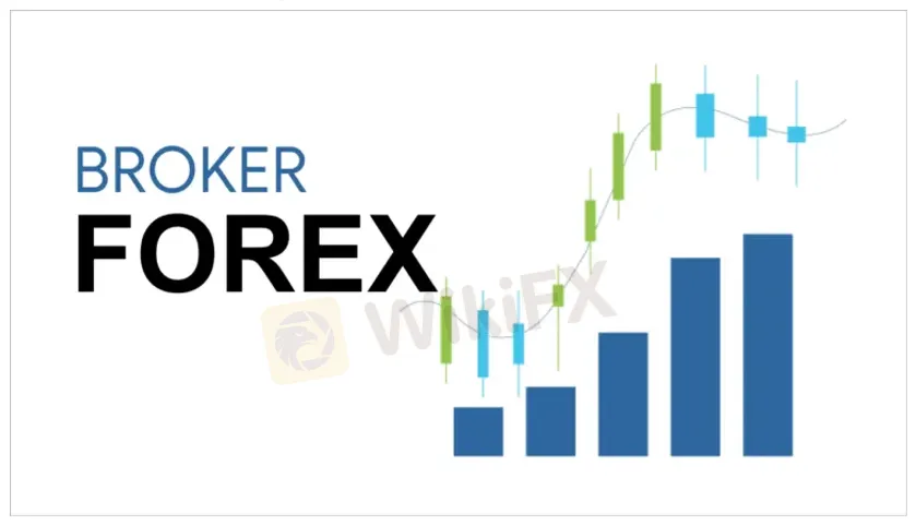 brokers forex.png