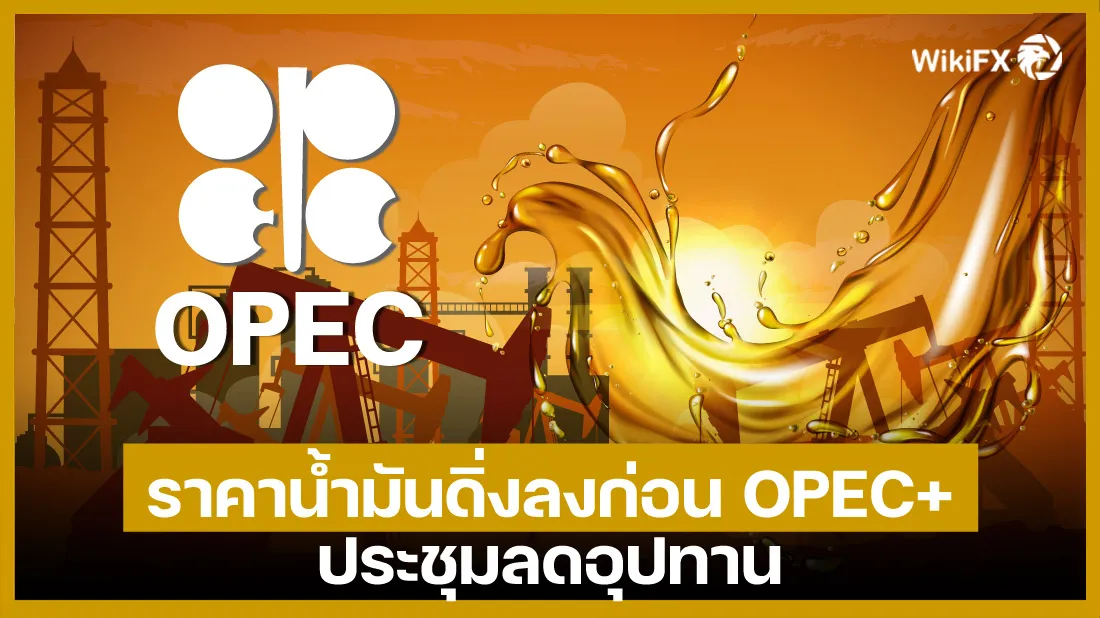 ราคาน้ำมันดิ่ง.jpg ราคาน้ำมันดิ่ง.jpg