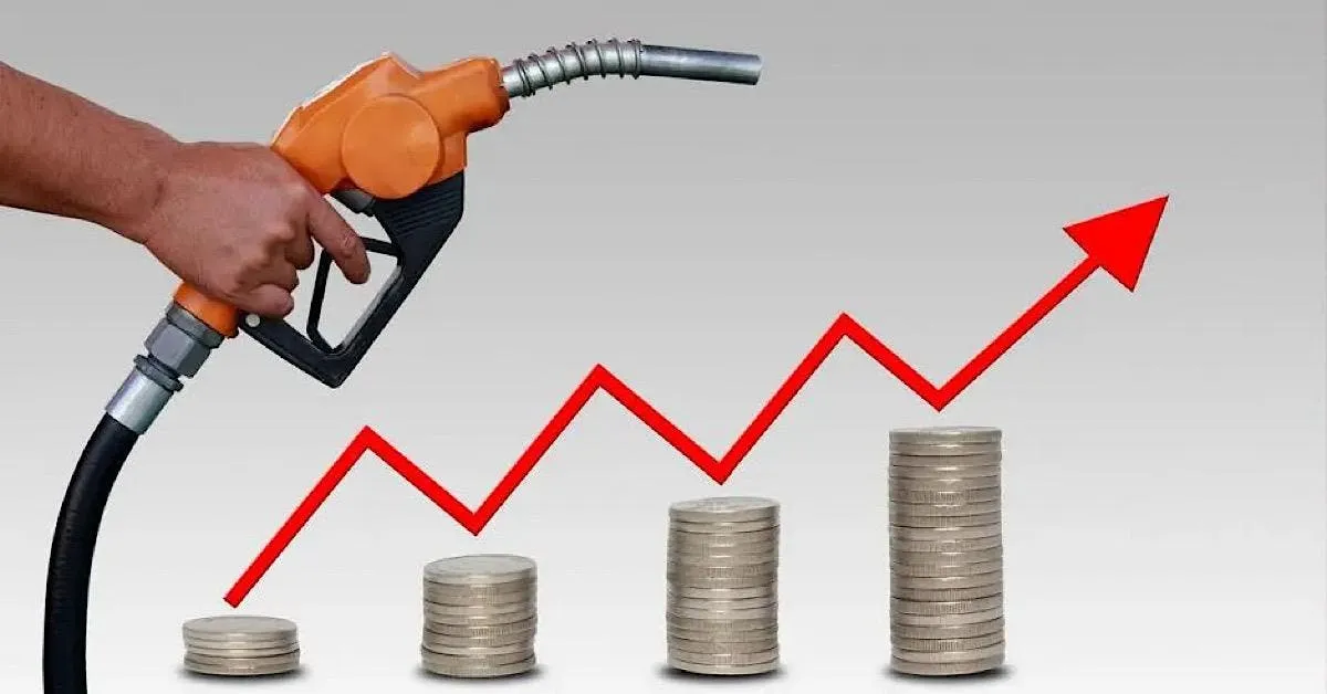 Economia Economia