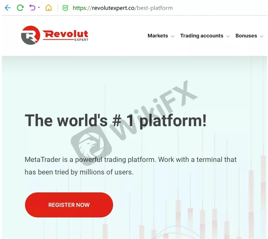 RevolutExpert