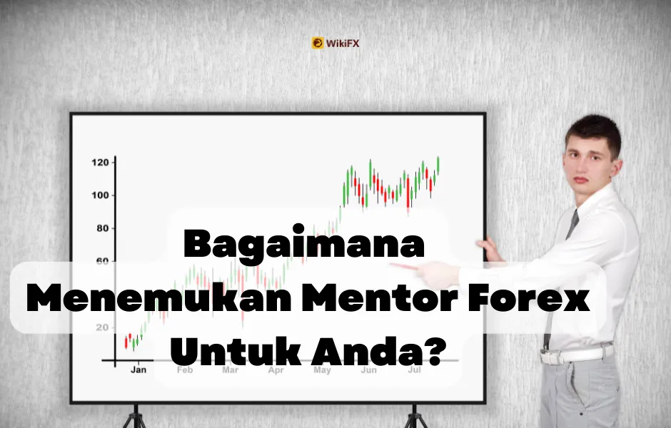 Menemukan Mentor Forex Anda.png Menemukan Mentor Forex Anda.png