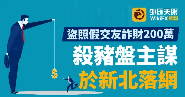 盜照假交友詐財200萬，殺豬盤主謀於新北落網