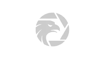 SQUAREDFINANCIAL Algunos Detalles Importantes Sobre Este Broker