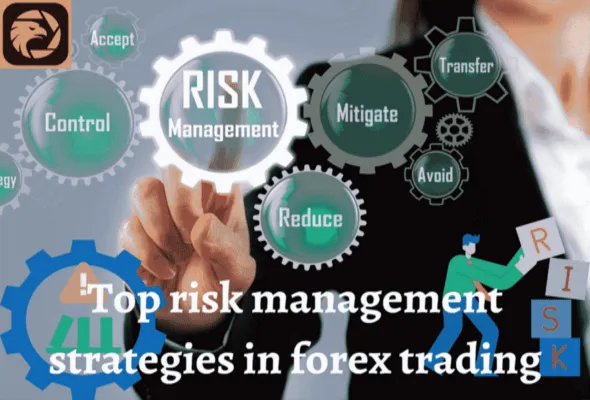 Top risk management strategies in forex trading.png Top risk management strategies in forex trading.png