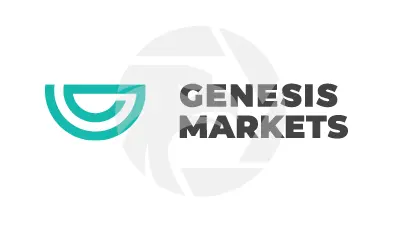 GENESIS VISION 3133337304 Risikowarnung