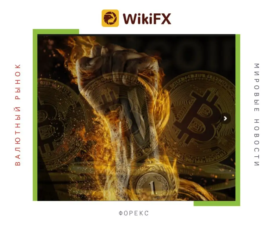 WikiFX Обзор: Стоит ли инвестировать в оффшорного брокера LionsFM?