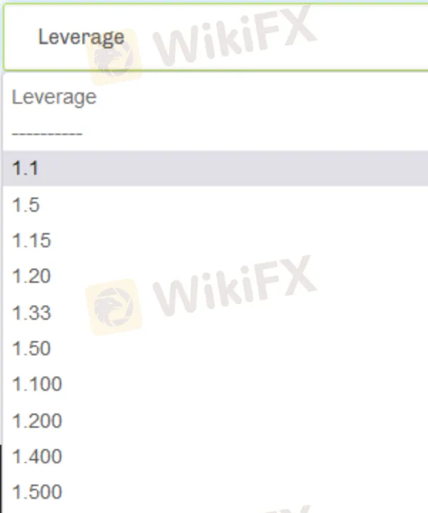 Leverage