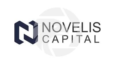 Novelis Capital