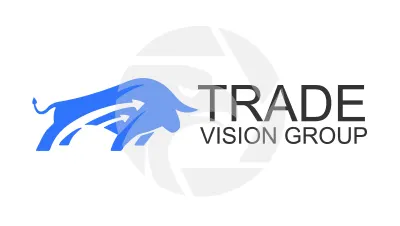 Groupe Vision commerciale