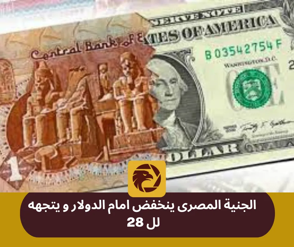 2المركزي المصري .png 2المركزي المصري .png