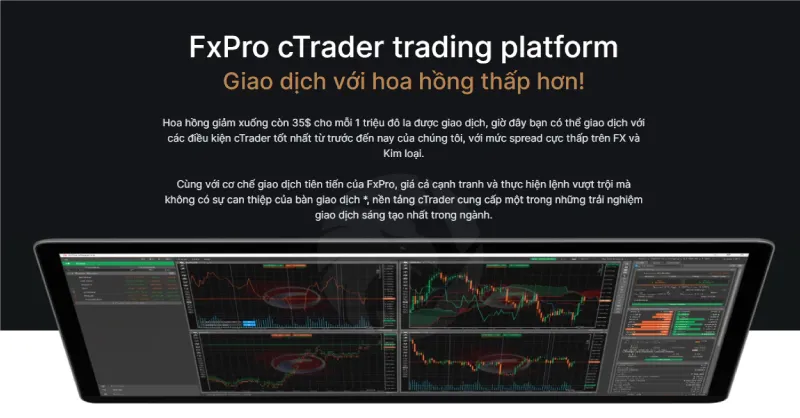 Broker-review---Jan-18-3.3.jpg Broker-review---Jan-18-3.3.jpg