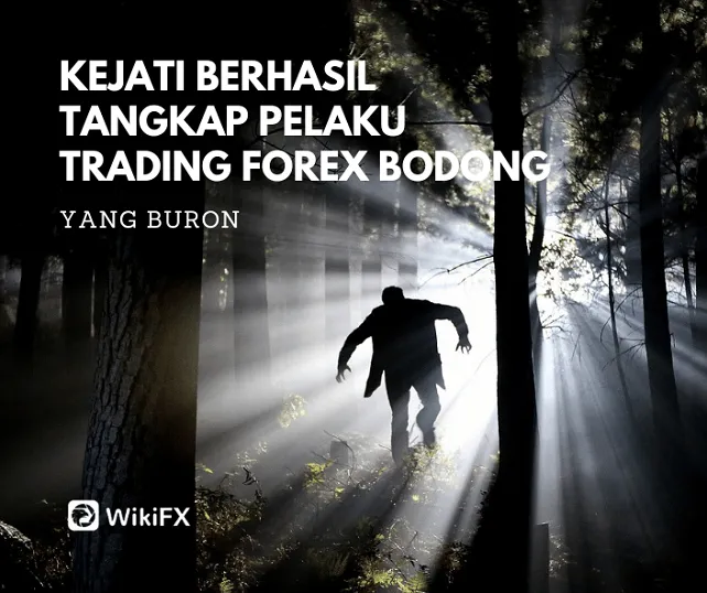 kejati-tangkap-buronan-kasus-trading-forex-bodong.png kejati-tangkap-buronan-kasus-trading-forex-bodong.png