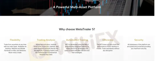 tarding-platform tarding-platform