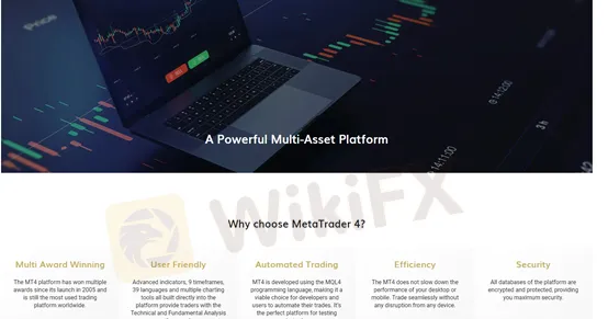 trading-platform trading-platform