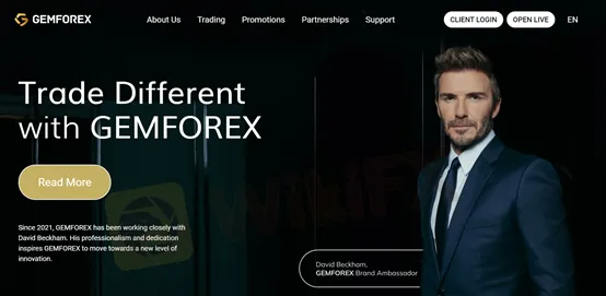 basic-info basic-info