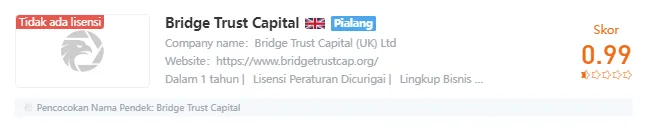 Bridge Trust CApital.png