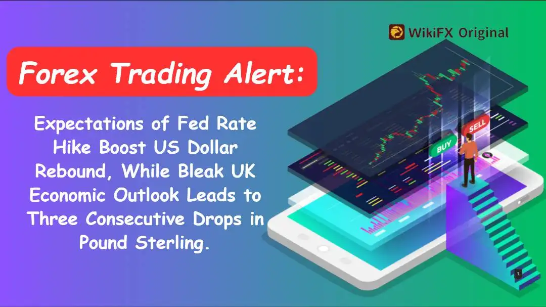 Forex Trading Alert: Expectations of Fed Rate Hike Boost US Dollar Rebound, While Bleak UK Economic 