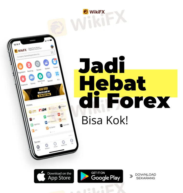 wiki forex ads.png