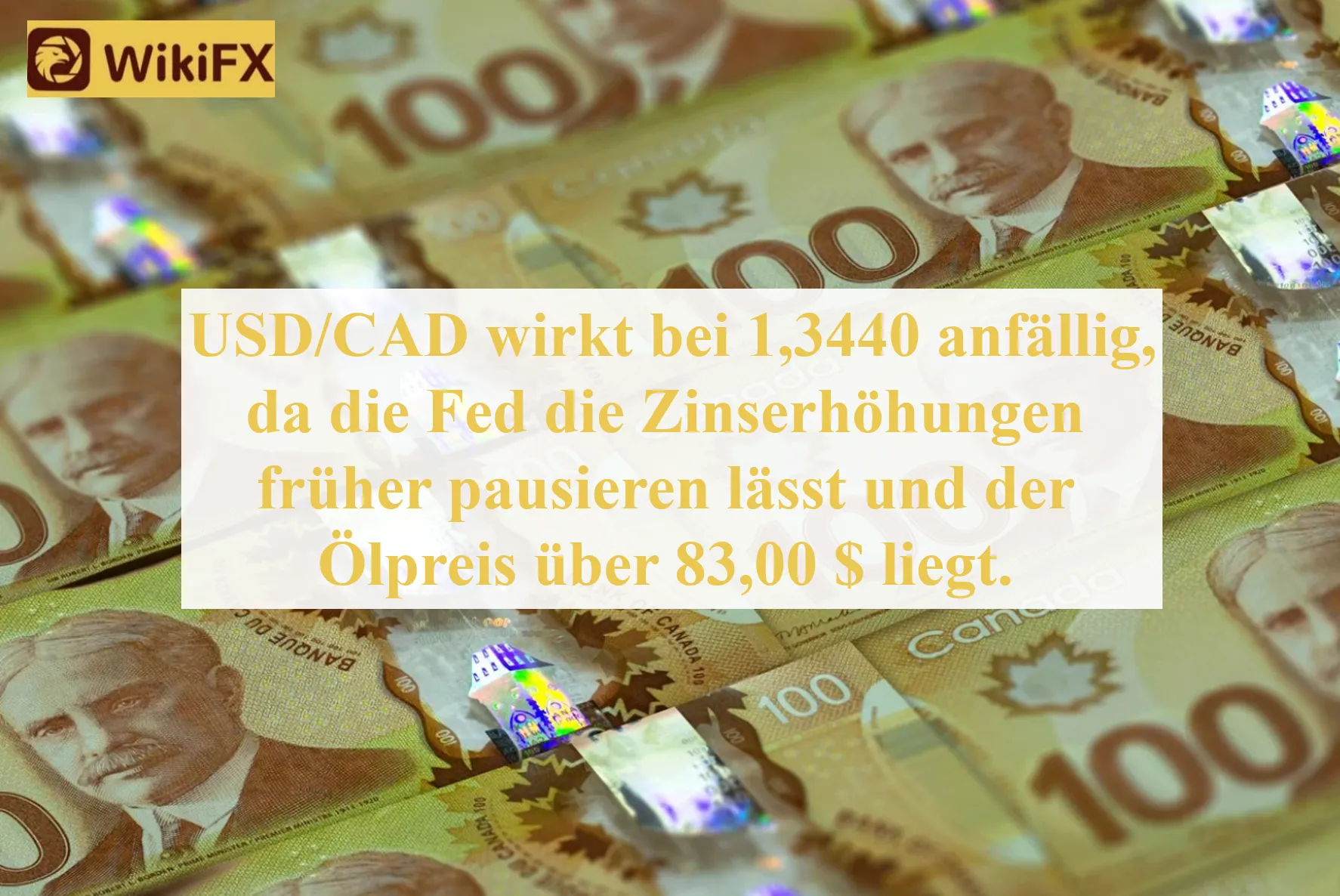 2023.4.13社媒配图5.png 2023.4.13社媒配图5.png