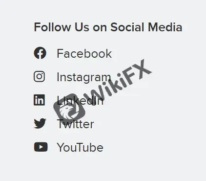 social media