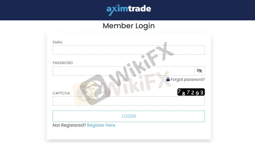 copy-trading 