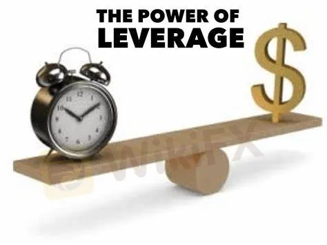 maximum leverage