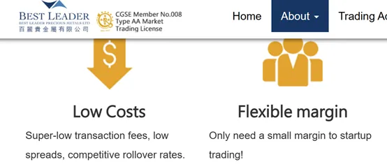 maximum leverage