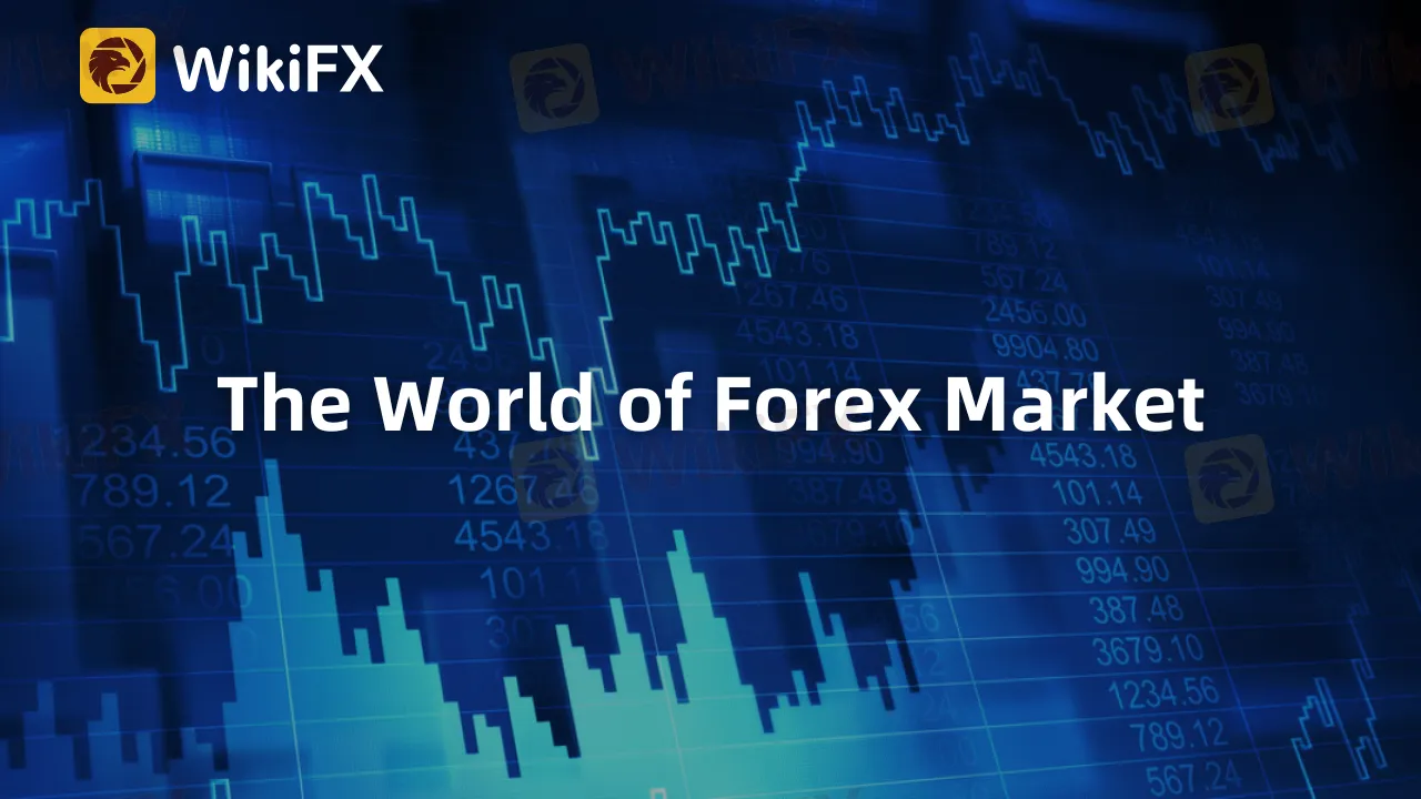 The World of Forex Market.png