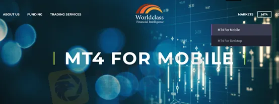 MT4 platform MT4 platform