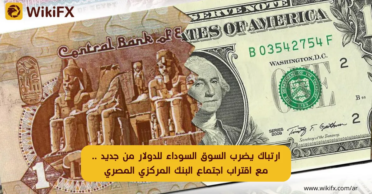ارتباك يضرب السوق السوداء للدولار من جديد .. مع اقتراب اجتماع البنك المركزي المصري.png ارتباك يضرب السوق السوداء للدولار من جديد .. مع اقتراب اجتماع البنك المركزي المصري.png