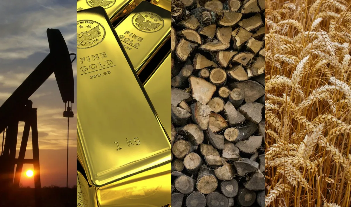 commodities.png