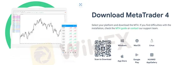 MetaTrader 4 (MT4)