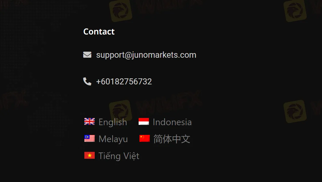 customer-support