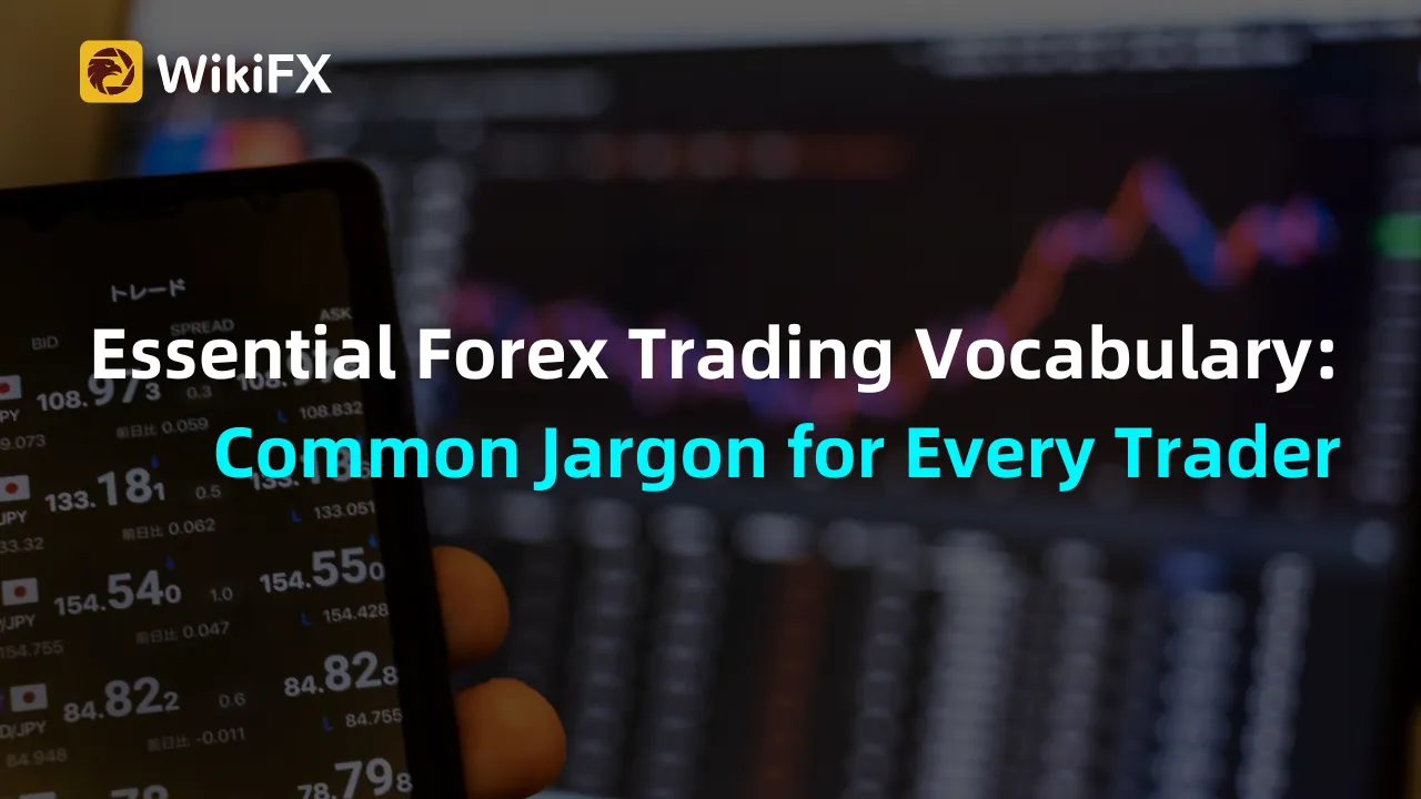 Essential Forex Trading Vocabulary Common Jargon for Every Trader.png Essential Forex Trading Vocabulary Common Jargon for Every Trader.png