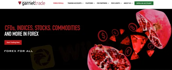 basic-info basic-info