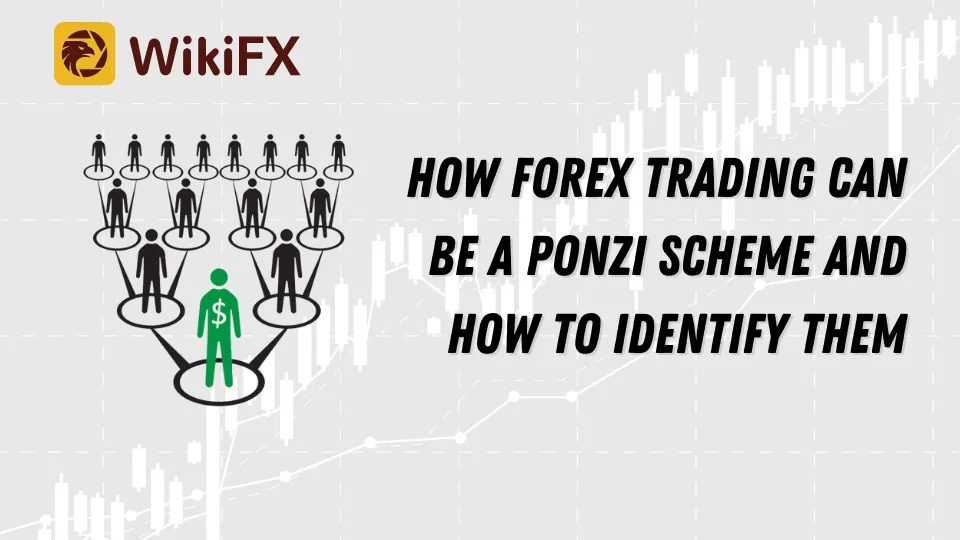 How Forex Trading Can Be A Ponzi Scheme And How To Identify Them.png How Forex Trading Can Be A Ponzi Scheme And How To Identify Them.png