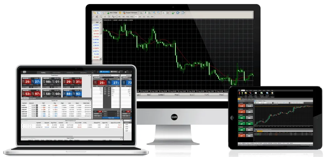 GMI-platform.png