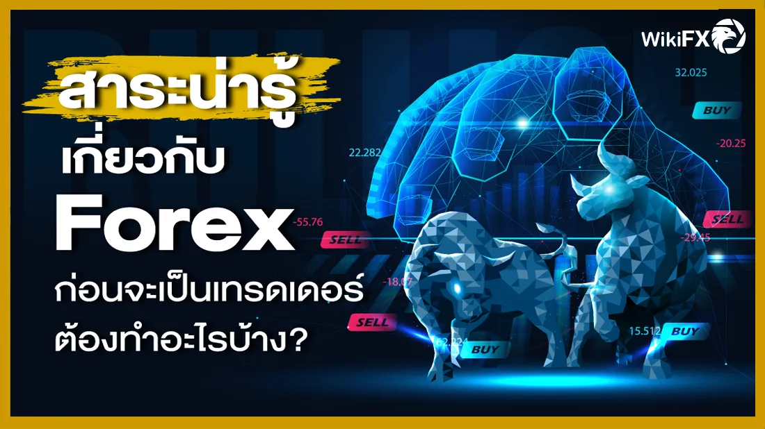 สาระน่ารู้เกี่ยวกับ Forex ก่อนจะเป็นเทรดเดอร์ต้องทำอะไรบ้าง.png สาระน่ารู้เกี่ยวกับ Forex ก่อนจะเป็นเทรดเดอร์ต้องทำอะไรบ้าง.png