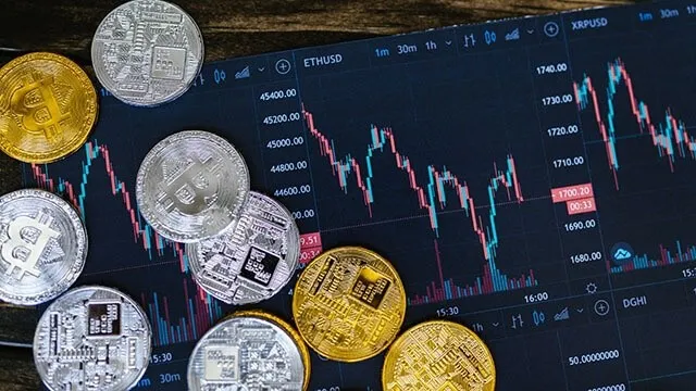 234erdf.jpg
