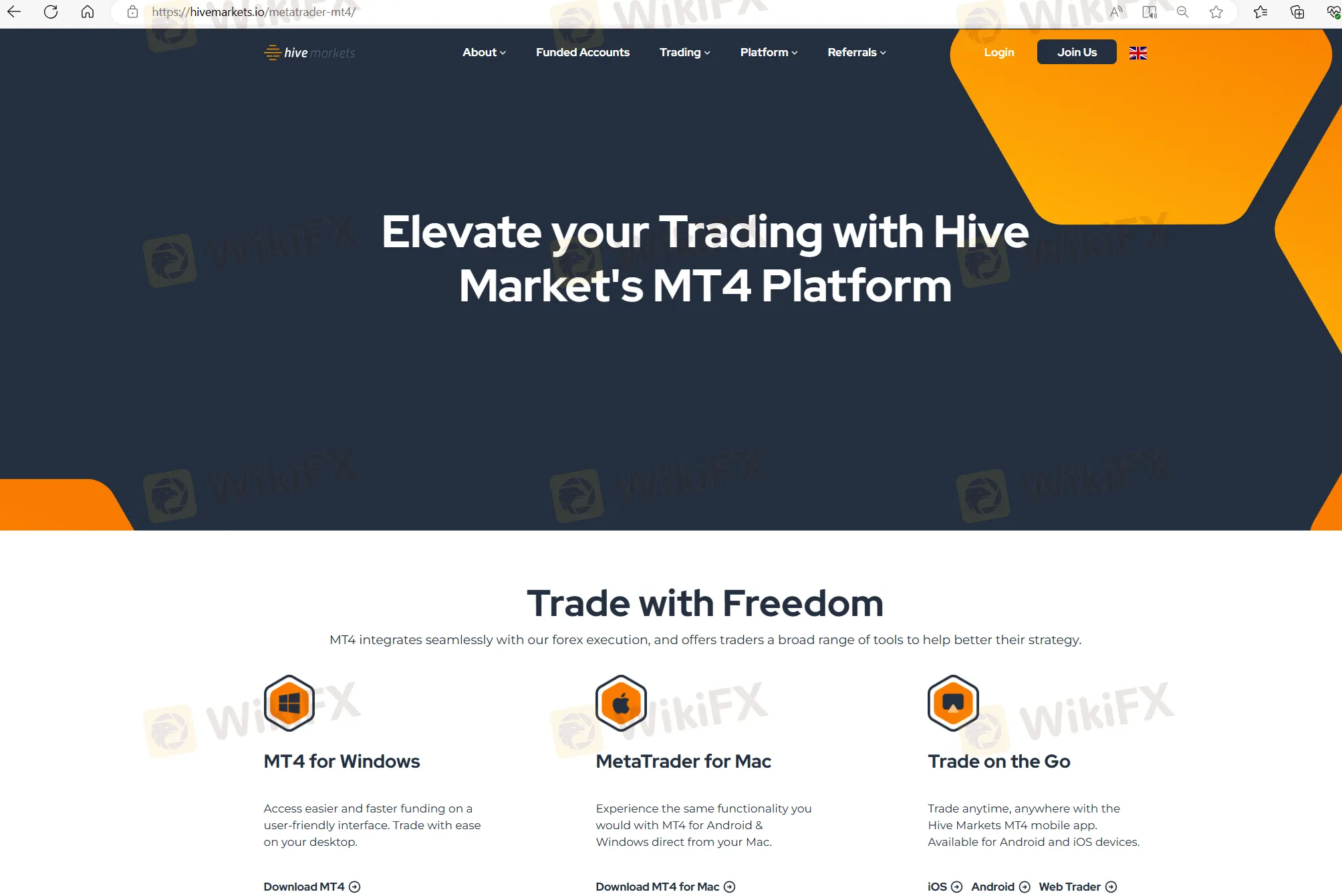 MT4