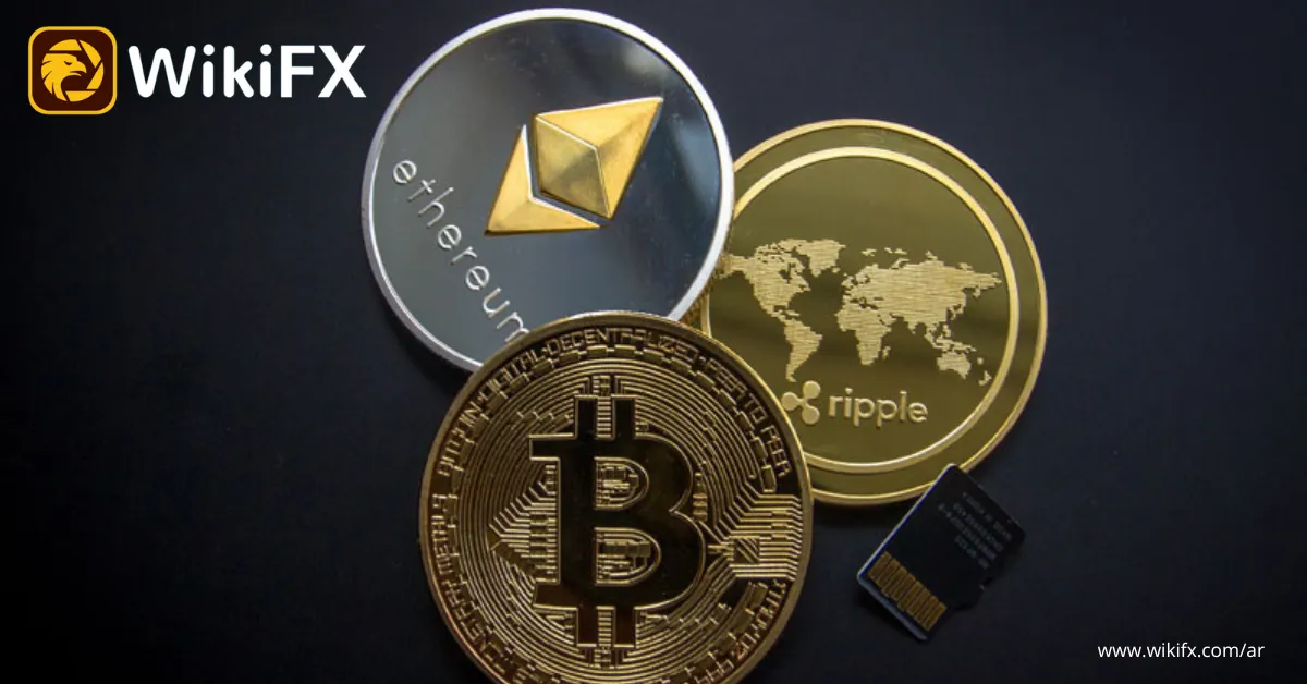 سعر الدولار مقابل الجنية في السوق السوداء اليوم.png سعر الدولار مقابل الجنية في السوق السوداء اليوم.png