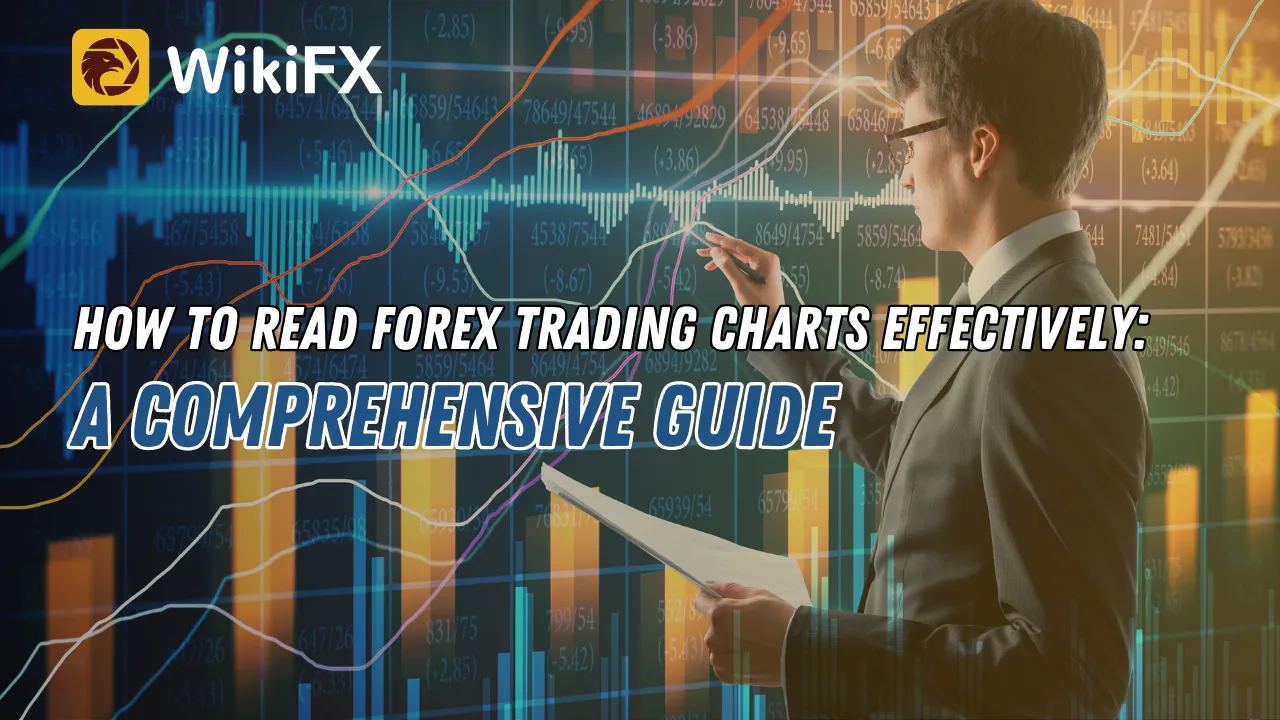 How to Read Forex Trading Charts Effectively A Comprehensive Guide.png How to Read Forex Trading Charts Effectively A Comprehensive Guide.png