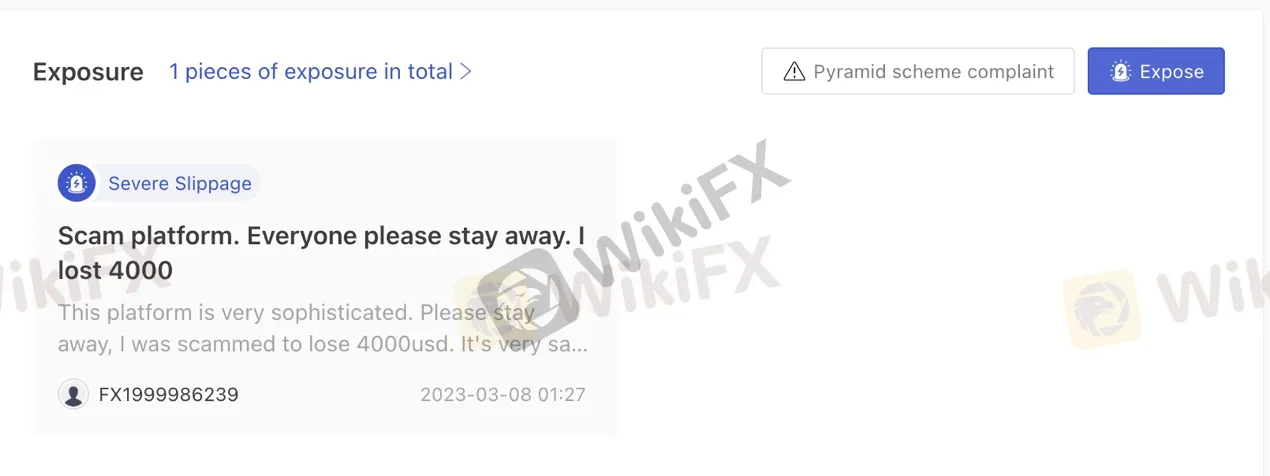 reviews 